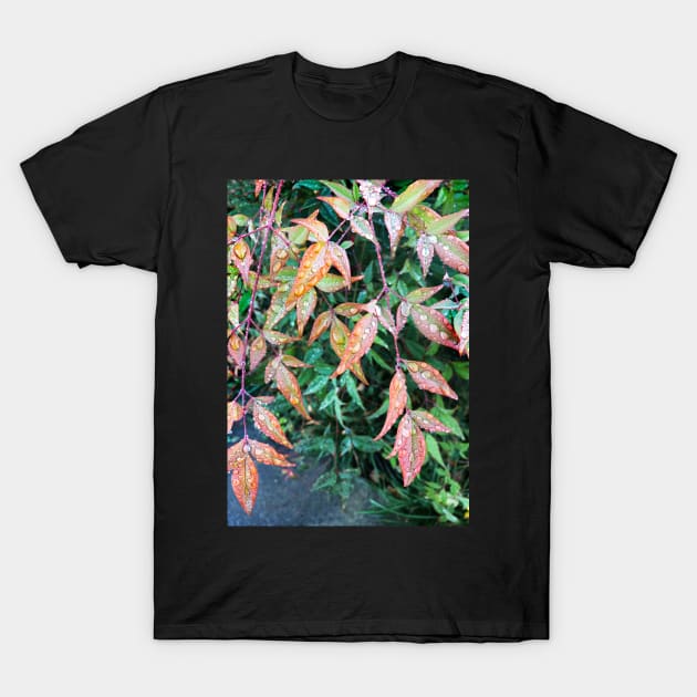 Early Morning Dew T-Shirt by rozmcq